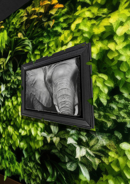 Emily Hinchcliffe Elephant Slate Wall Art