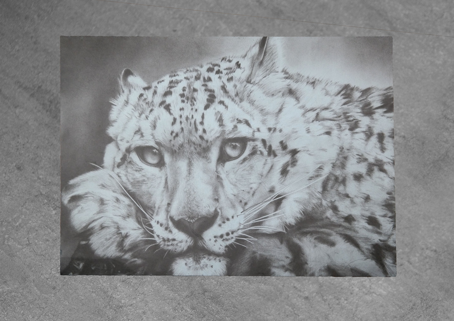 Emily Hinchcliffe Snow Leopard Slate Coffee Table