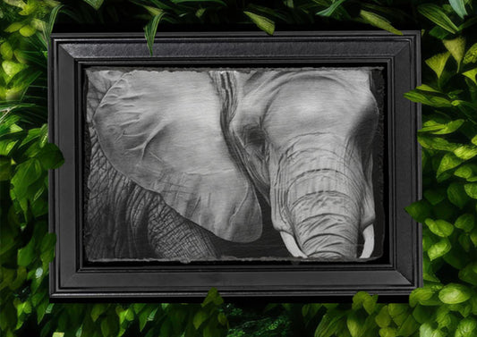 Emily Hinchcliffe Elephant Slate Wall Art