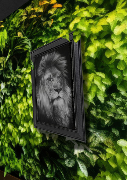 Emily Hinchcliffe Lion Slate Wall Art