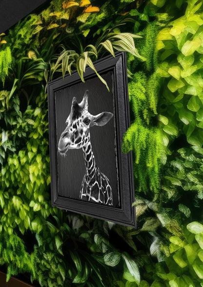 Emily Hinchcliffe Giraffe (version 2) Slate Wall Art